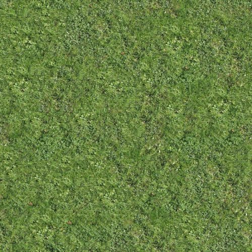 High-resolution grass texture, perfect for backgrounds and wallpapers.